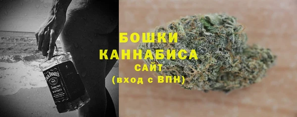 стаф Магас