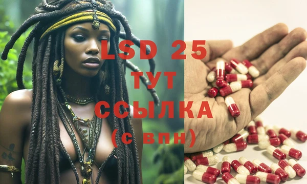 MESCALINE Майский